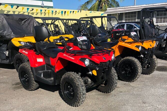3-Hour ATV Tour of New Providence (Inclusive of water & local deserts) - Guides, safety, and why the small-group cap matters