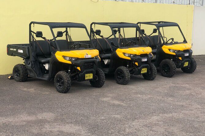 4-Hour Buggy Tour of New Providence (Inclusive of water & local deserts) - Key highlights you’ll actually care about