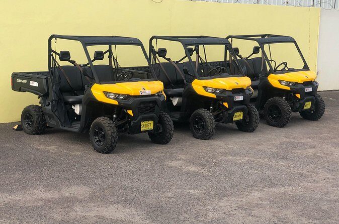 4-Hour Buggy Tour of New Providence (Inclusive of water & local deserts) - Graycliff Heritage Village: Cigar, Wine, and Chocolate Factory Time