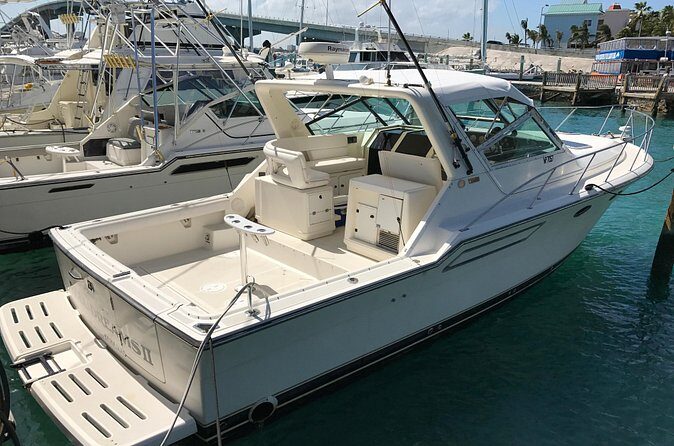 4 hours 38ft Reel Dreams Private Charter in Nassau - Fishing on this boat: bait, gear, and two ways to fish