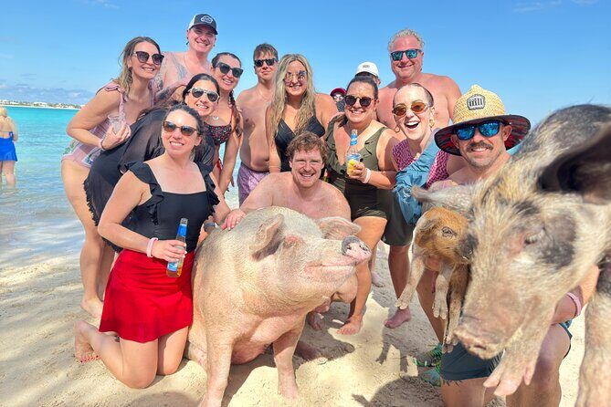 4-Island Tour Swimming Pigs, turtles, snorkeling , rose island, - Key Highlights You’ll Actually Care About