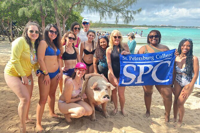 4-Island Tour Swimming Pigs, turtles, snorkeling , rose island, - Stop 2: Athol Island Swimming Pigs (Meet, Feed, Splash) for About 1 Hour