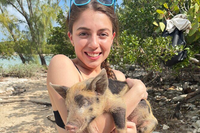 4-Island Tour Swimming Pigs, turtles, snorkeling , rose island, - Getting There: Pickup, Meeting Point, and Staying Sane