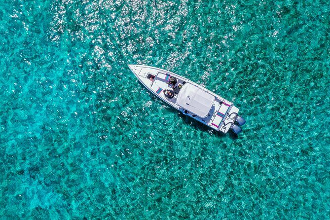 5 Hours Pigs and Turtles with Beach Stop in Bahamas - Small-Group Day on New Providence That Feels Like a Real Trip