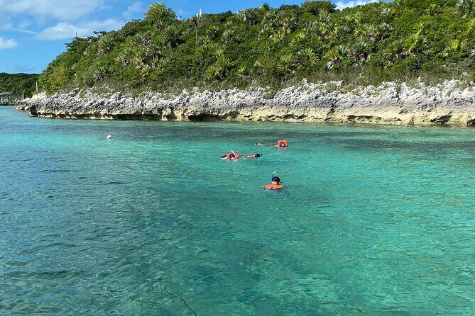5 Hours Pigs and Turtles with Beach Stop in Bahamas - Atholl Island: Pig Time on an Uninhabited Island Off Paradise Island