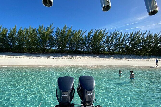 5 Hours Pigs and Turtles with Beach Stop in Bahamas - Snorkeling and Pig Island Comfort Tips That Save Your Day