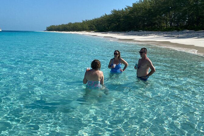 5 Hours Pigs and Turtles with Beach Stop in Bahamas - Who This Trip Fits Best (and Who Might Prefer Something Else)