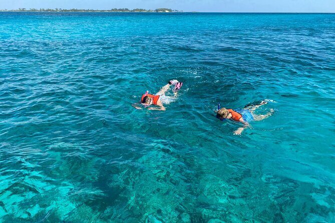 5 Hours Pigs and Turtles with Beach Stop in Bahamas - Rose Island Snorkel, Wild Turtles, and Lunch on a Quiet Beach