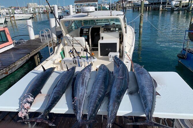 8 hours 38ft Reel Dreams Private Charter Nassau - Price and Value: What $1,980 Really Buys You