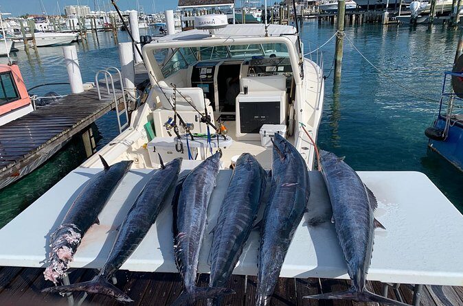 8 hours 38ft Reel Dreams Private Charter Nassau - What to Pack and How to Get More Fun From Your Fishing Day