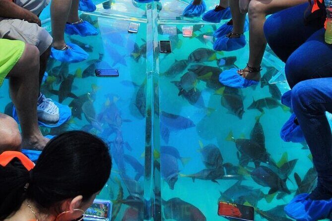 Adventures of the Lost Atlantis Bimini Road - Small group size and moderate pacing