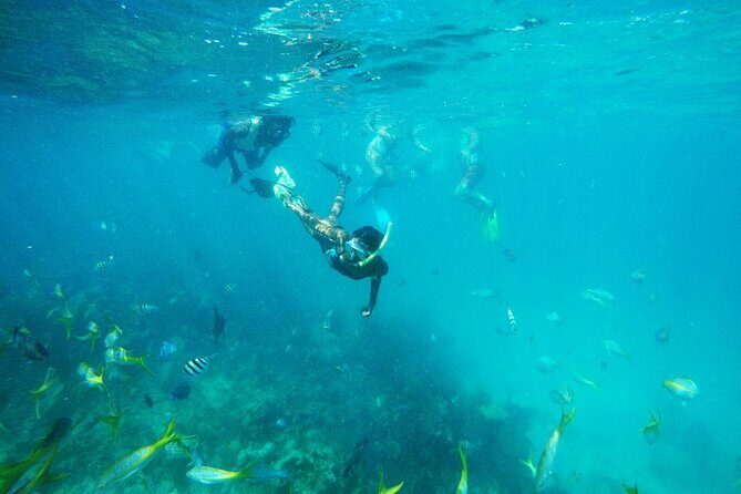 All Inclusive Half Day Sail and Snorkel - Key highlights before you go