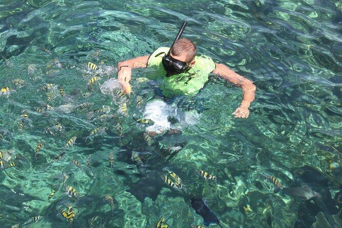 All Inclusive Half Day Sail and Snorkel - Rose Island Half Day: what the 5 hours adds up to