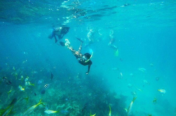 All Inclusive Half Day Sail and Snorkel - Price and value: is $165 worth it?