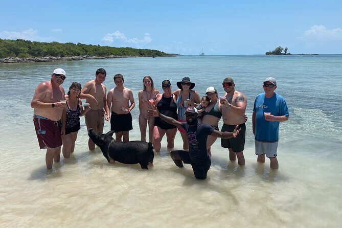 All Inclusive Swimming With The Pigs - Key things you’ll notice right away