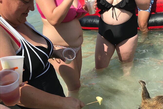 All Inclusive Swimming With The Pigs - Drinks, local food, and island music on the Cocktails ’n’ Dreams van