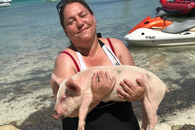 All Inclusive Swimming With The Pigs - What’s included (and what it means for your day)