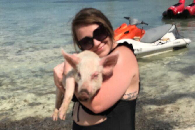 All Inclusive Swimming With The Pigs - Price and value: is $150 worth it?
