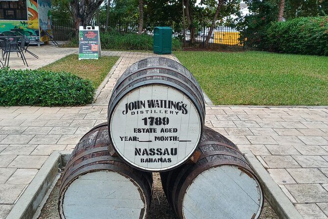 All New Tours "Bahamas Brunch" & "Signature Downtown Tour" - Straw Market stroll: winding down toward downtown