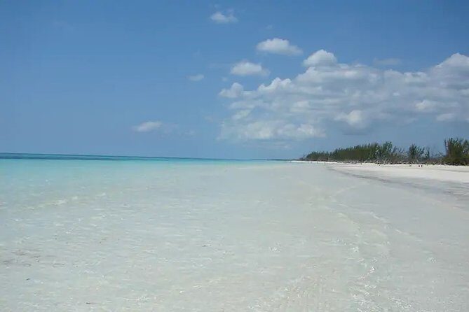 Around Town/Bahamian Cooking Experience - Market and Brewery Stops That Give You Real Orientation