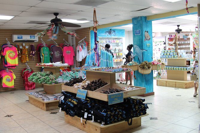 Around Town/Bahamian Cooking Experience - Private Beach Time: Your Reset Button in Turquoise Water