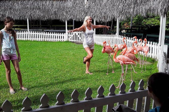 At YOUR Pace Private Tours V.I.P - Nassau, Bahamas - Who should book this VIP Nassau tour