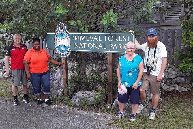 At YOUR Pace Private Tours V.I.P - Nassau, Bahamas - Getting started: cruise port or hotel pickup in an A/C minivan