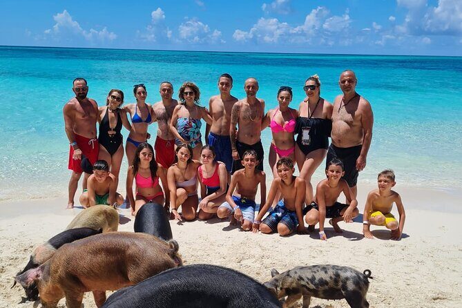 Athol Island Swimming Pigs Half-Day Boat Tour with Lunch - Key highlights to look for