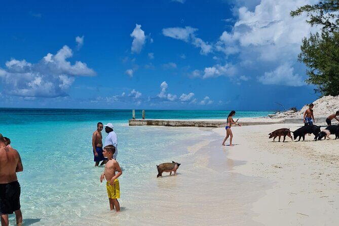 Athol Island Swimming Pigs Half-Day Boat Tour with Lunch - Why this Nassau boat day feels like four mini trips