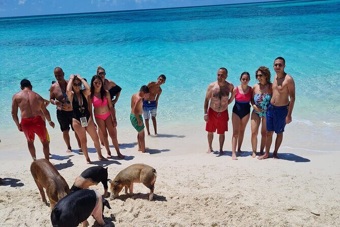 Athol Island Swimming Pigs Half-Day Boat Tour with Lunch - Stop 1: Pearl Island reef snorkeling for colorful fish