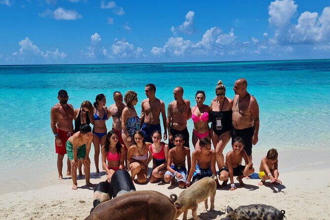 Athol Island Swimming Pigs Half-Day Boat Tour with Lunch - Stop 2: Green Cay turtle time, with a watch-or-snorkel choice