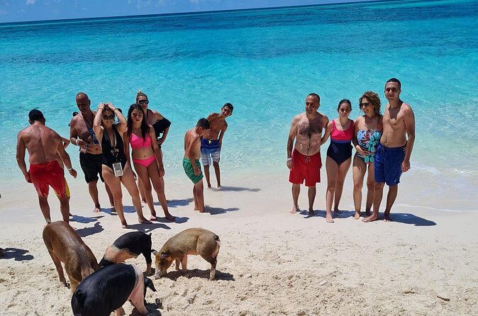 Athol Island Swimming Pigs Half-Day Boat Tour with Lunch - Stop 3: Gilligan’s Island in Nassau for Ginger and the Professor