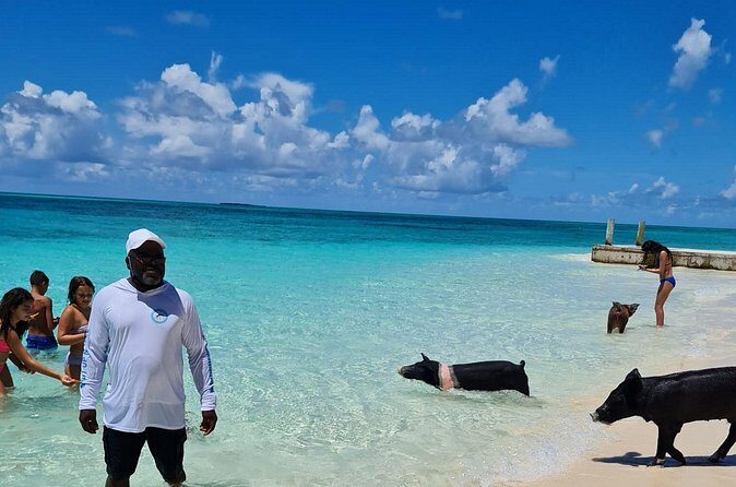 Athol Island Swimming Pigs Half-Day Boat Tour with Lunch - Lunch break: Bahamian plates that actually feel like lunch