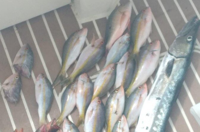 Bahamas Deep Sea Fishing - Seasonal Targets: Wahoo Trolling in Oct–Feb, Tuna and Marlin in August