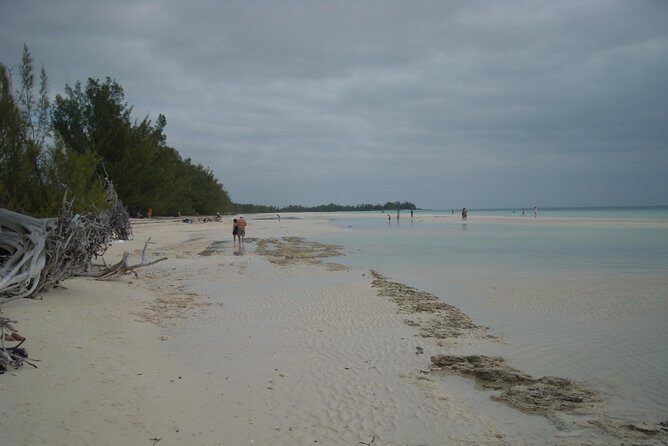 Bahamas Get-A-Round Bus Pass - Your Stop-by-Stop Guide to Freeport Highlights