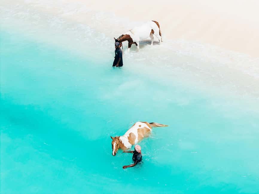 Bahamas: Nassau Horseback Riding on Beaches & Trails - Key Things I’d Aim For On This Nassau Beach Ride