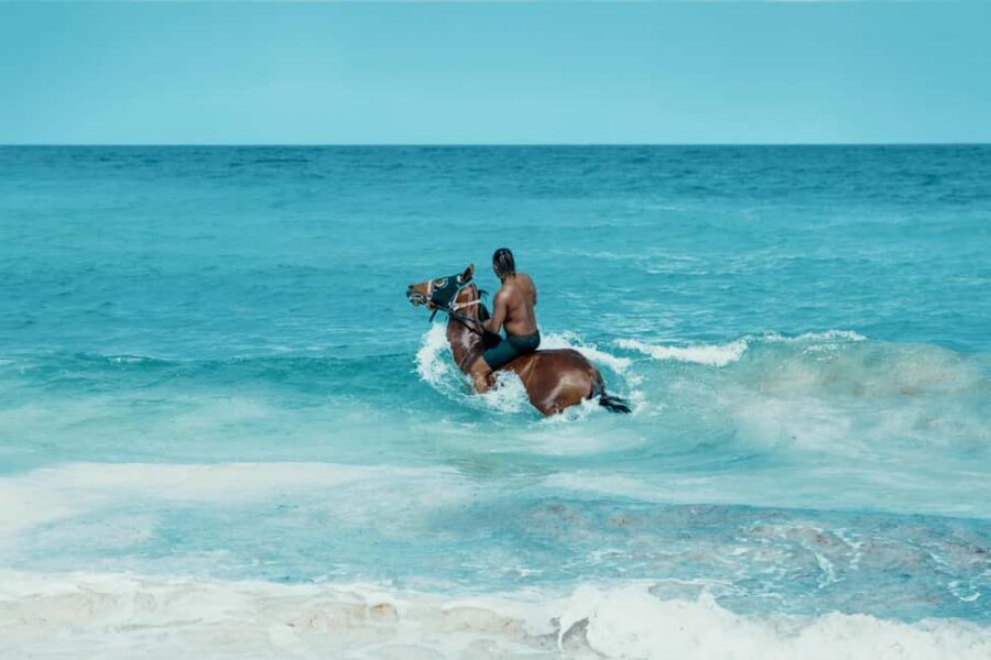 Bahamas: Nassau Horseback Riding on Beaches & Trails - A Nassau Ride That Mixes Woods, Sand, and Sea
