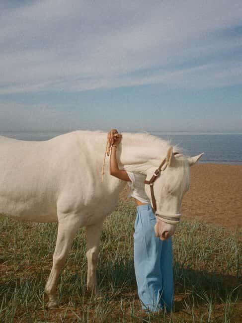 Bahamas: Nassau Horseback Riding on Beaches & Trails - Price and Value: What $375 Buys You in Nassau