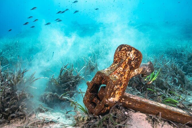 Bahamas on a Semi Submersive Glass Bottom Boat - Shipwreck site and reef viewing: close-ups without touching