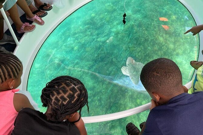 Bahamas on a Semi Submersive Glass Bottom Boat - Eco-conscious viewing and the astronaut angle: what both mean for you