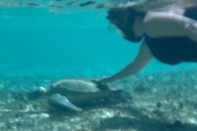 Bahamas Sea Scooter Snorkeling Adventure - The 6-hour flow: Pickup, water time, and lunch that doesn’t feel rushed