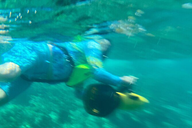 Bahamas Sea Scooter Snorkeling Adventure - Price and value: Is $120 worth it?