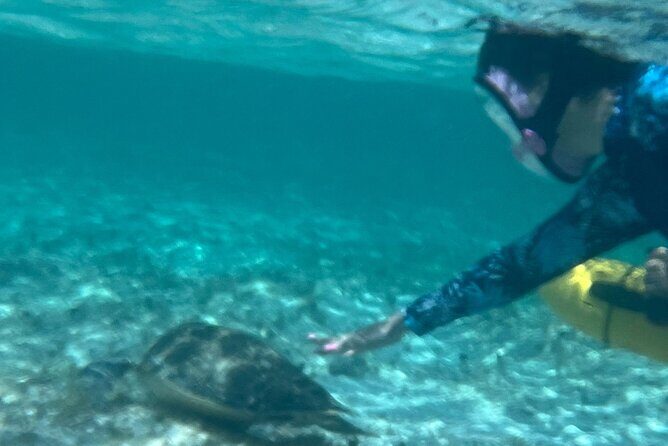 Bahamas Sea Scooter Snorkeling Adventure - Where it starts: Port Lucaya Marketplace timing and meeting point