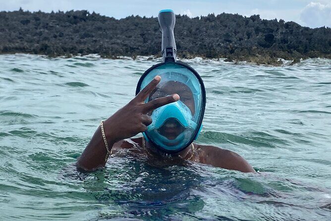 Bahamas Sea Scooter Snorkeling Adventure - Paradise Cove snorkeling: What you’ll actually see underwater