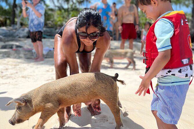 Bahamas Swimming Pigs Experience on Rose Island - Key Things to Know Before You Book