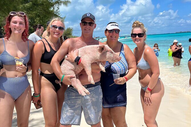 Bahamas Swimming Pigs Experience on Rose Island - Swimming With Pigs: What You Can and Can’t Assume
