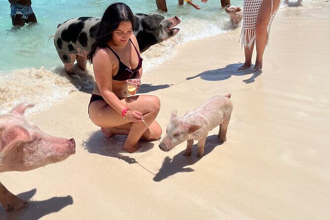 Bahamas Swimming Pigs Experience on Rose Island - Beach Time After the Pigs: Games, Swims, and Getting Your Money’s Worth
