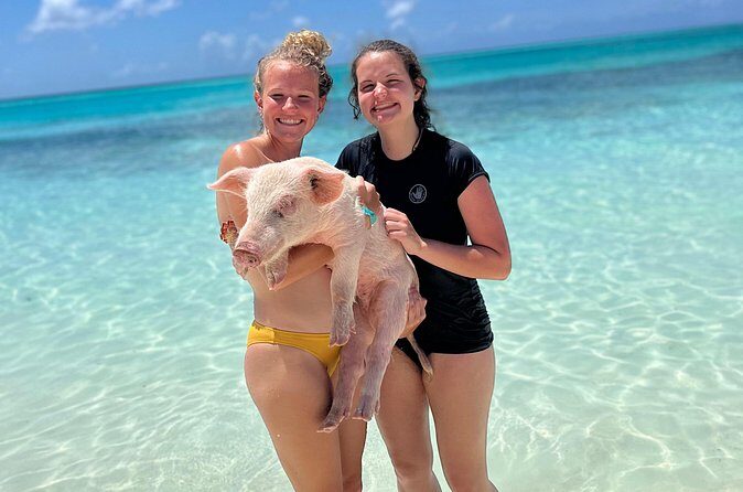Bahamas Swimming Pigs Experience on Rose Island - Food on Rose Island: Included Lunch and How Service Can Affect Your Timing