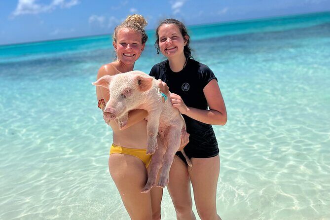 Bahamas Swimming Pigs Experience on Rose Island - Family-Friendly Comfort: Strollers, Kids, and Manageable Chaos