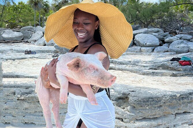 Bahamas Swimming Pigs Experience on Rose Island - Nassau to Rose Island: Getting There Without Stress